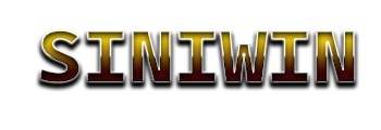 Logo SINIWIN